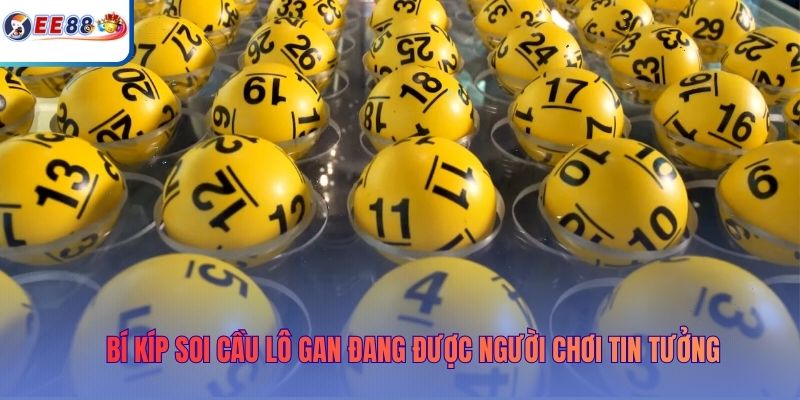 Bí kíp soi cầu lô gan đang được người chơi tin tưởng