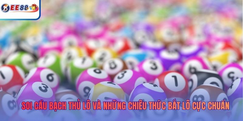 soi-cau-bach-thu-lo-anh-dai-dien